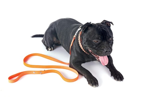 ¿De qué manera se puede lucir un reloj de pulsera como pieza central de un look?